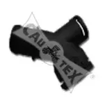 cautex-955328