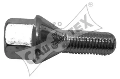 cautex-955351