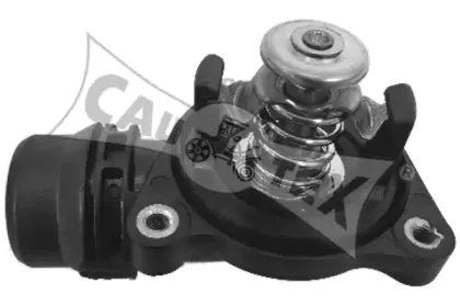 cautex-955409