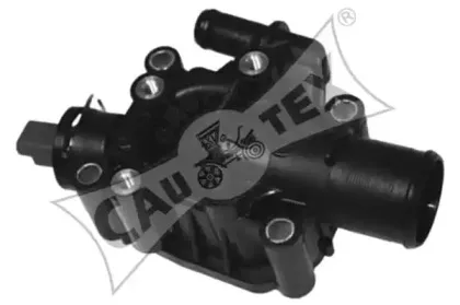 cautex-955412