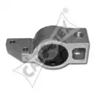 cautex-461079