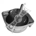 cautex-200939