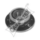 cautex-031009