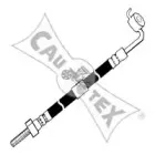 cautex-080056