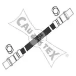 cautex-460216