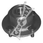 cautex-081006