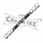 cautex-460018