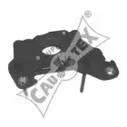 cautex-957020