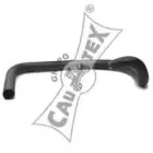 cautex-036211