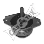 cautex-080938