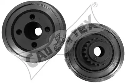 cautex-080946