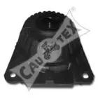 cautex-081012
