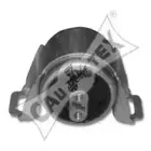 cautex-081009