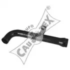 cautex-955018