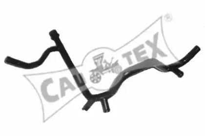 cautex-955320