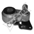 cautex-081082