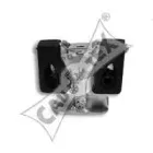 cautex-200539