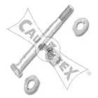 cautex-180990