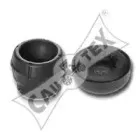 cautex-460219