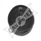 cautex-480520