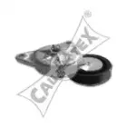 cautex-081111