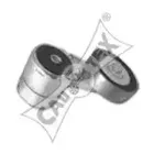 cautex-481144