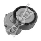 cautex-461357