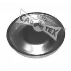 cautex-951014