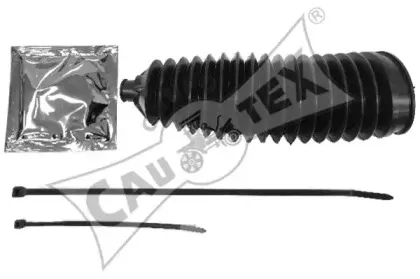 cautex-030613