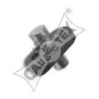 cautex-030918