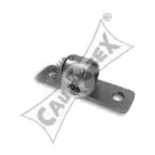 cautex-462405