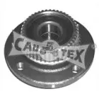 cautex-461012