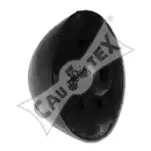 cautex-461273