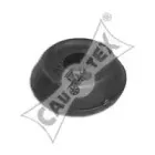 cautex-460942