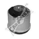 cautex-461120