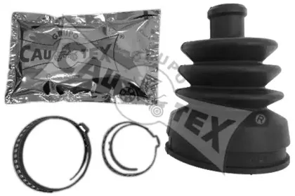 cautex-240006