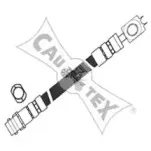 cautex-460207