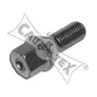 cautex-481056