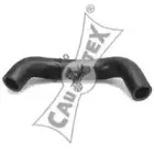 cautex-036100