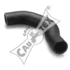 cautex-016157