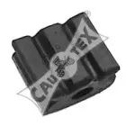 cautex-480082
