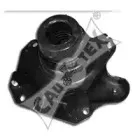 cautex-461033