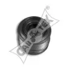 cautex-200912