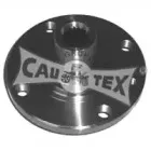 cautex-461014