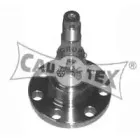 cautex-461024