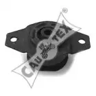 cautex-010584