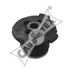 cautex-020414