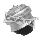 cautex-180169