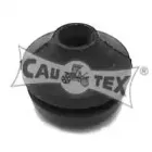 cautex-460060