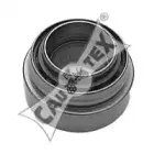 cautex-010715